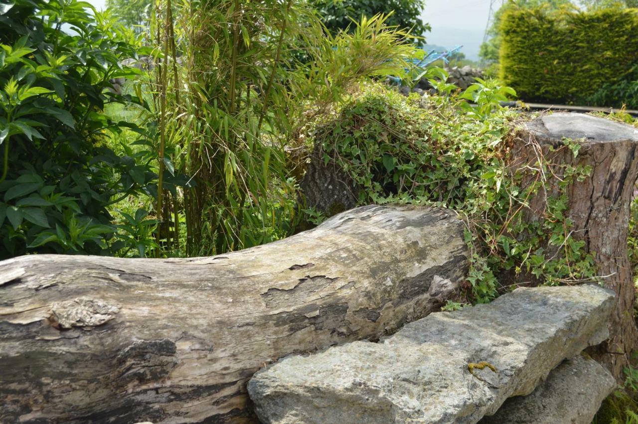 Beudy Bach And Beudy Mawr Mountainstudios Bangor  Extérieur photo